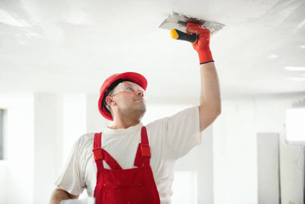 Best Drywall Installation  in Pistakee Highlands, IL